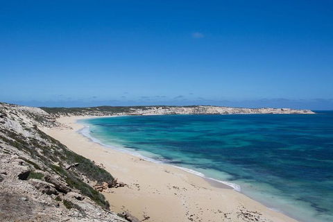Coffin Bay Oysters, Ocean & Nature Tour - Surfers Paradise Gold Coast 16