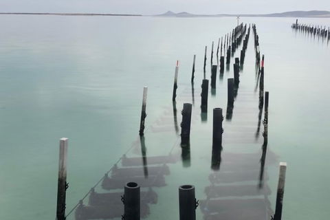 Coffin Bay Oysters, Ocean & Nature Tour - Surfers Paradise Gold Coast 15