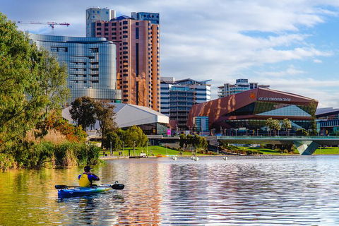 Adelaide City Kayak Tour - Surfers Paradise Gold Coast 7