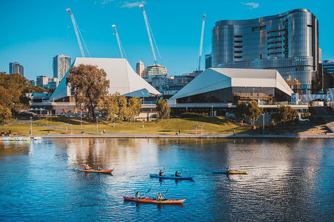 Adelaide City Kayak Tour - Surfers Paradise Gold Coast 2