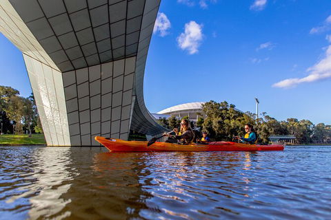 Adelaide City Kayak Tour - Surfers Paradise Gold Coast 5