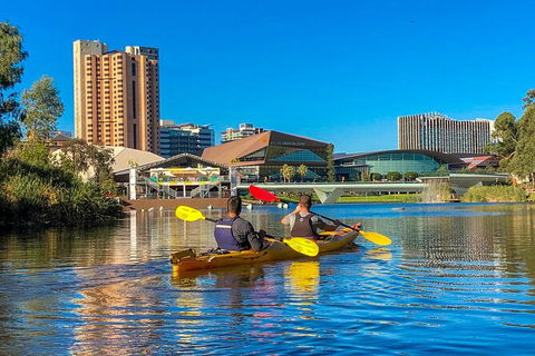 Adelaide City Kayak Tour - Surfers Paradise Gold Coast 3