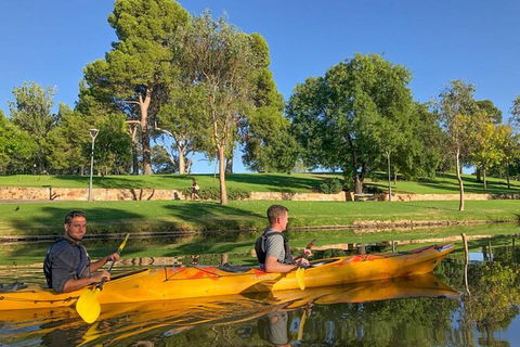 Adelaide City Kayak Tour - Surfers Paradise Gold Coast 4