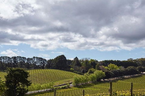 Adelaide Hills Full Day Winery Tour With Tastings - Surfers Paradise Gold Coast 4