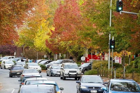 Adelaide Hills Full Day Winery Tour With Tastings - Surfers Paradise Gold Coast 3
