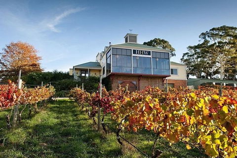 Adelaide Hills Full Day Winery Tour With Tastings - Surfers Paradise Gold Coast 0