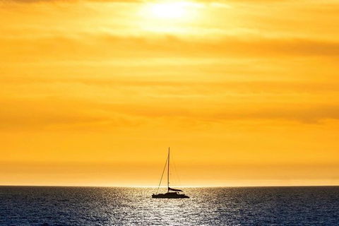 Adelaide Twilight Coast Sightseeing Cruise From Glenelg - Surfers Paradise Gold Coast 0