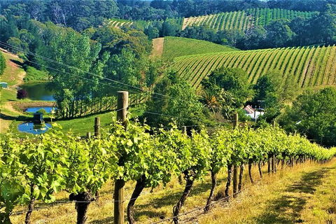 Adelaide Hills Private Day Tour - Surfers Paradise Gold Coast 0