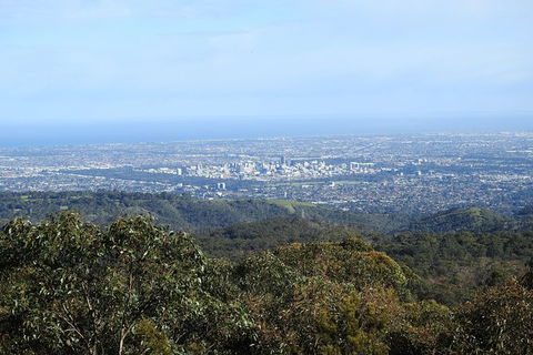 Adelaide Hills Private Day Tour - Surfers Paradise Gold Coast 1