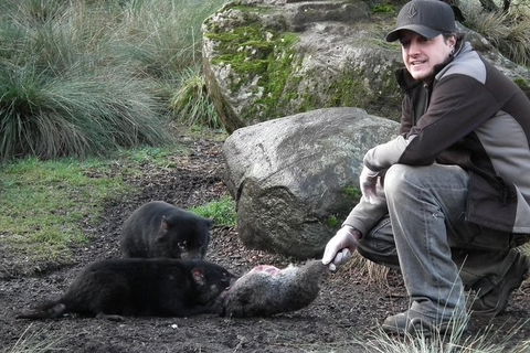 After Dark Tasmanian Devil Feeding Tour At Cradle Mountain - Surfers Paradise Gold Coast 0
