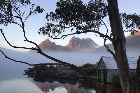 Cradle Mountain Park Explorer - Surfers Paradise Gold Coast 7