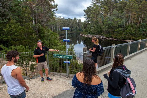 Tahune Airwalk Active Day Trip From Hobart Including Hastings Caves - Surfers Paradise Gold Coast 3