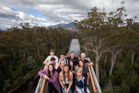 Tahune Airwalk Active Day Trip From Hobart Including Hastings Caves - Surfers Paradise Gold Coast 1