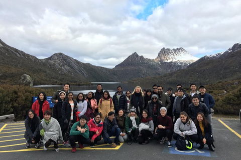 Shore Excursion - Cradle Mountain Day Tour From Burnie - Surfers Paradise Gold Coast 4