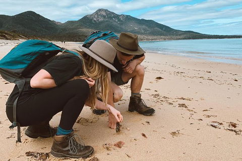 Freycinet Walking Tour - Surfers Paradise Gold Coast 0