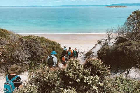Freycinet Walking Tour - Surfers Paradise Gold Coast 2