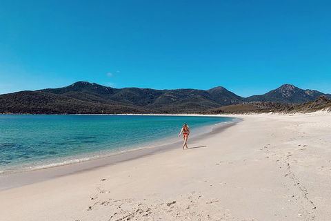 Freycinet Walking Tour - Surfers Paradise Gold Coast 5