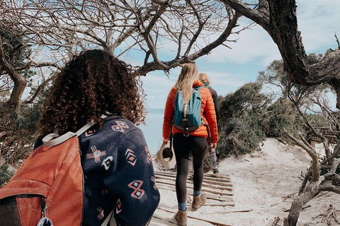 Freycinet Walking Tour - Surfers Paradise Gold Coast 6