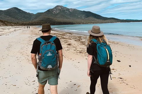 Freycinet Walking Tour - Surfers Paradise Gold Coast 7
