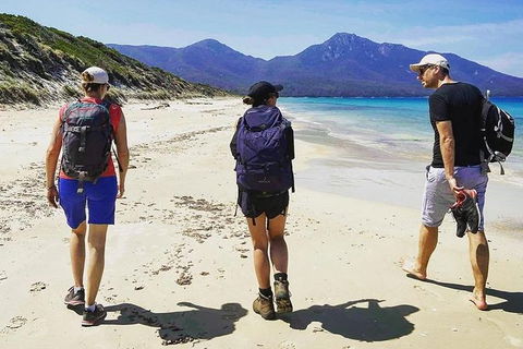 Freycinet Walking Tour - Surfers Paradise Gold Coast 1