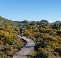 Hartz Mountains premium private photo-oriented day tour from Hobart - Surfers Paradise Gold Coast
