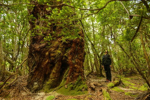 3-Day Southwest National Park Wilderness Camping Tour - Surfers Paradise Gold Coast 4