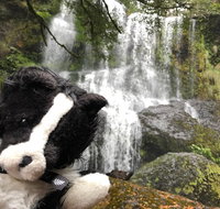 Waterfalls Guided Tour - Surfers Paradise Gold Coast