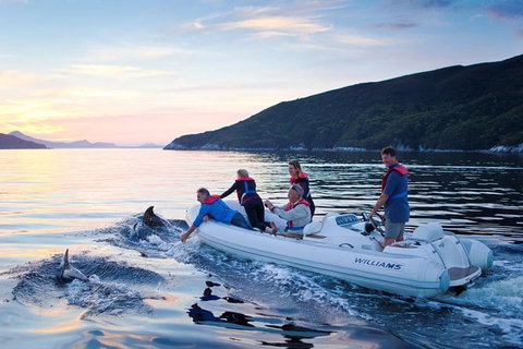 4-Day Cruise Expedition Of Southwest Tasmania\'s World Heritage From Hobart - Surfers Paradise Gold Coast 1
