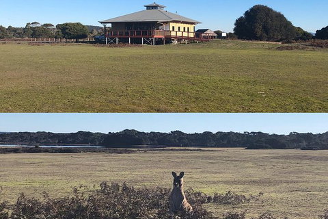 Spend A Day In One Of Tasmania\'s Best Wildlife National Park\'s - Surfers Paradise Gold Coast 3
