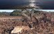 Spend A Day In One Of Tasmania\'s Best Wildlife National Park\'s - thumb 4