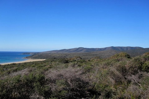 Spend A Day In One Of Tasmania\'s Best Wildlife National Park\'s - Surfers Paradise Gold Coast 5