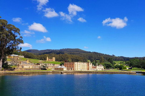 6-Day Tasmania Small-Group Guided Tour With Gourmet Food - Surfers Paradise Gold Coast 8