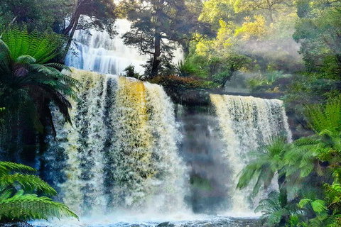 6-Day Tasmania Small-Group Guided Tour With Gourmet Food - Surfers Paradise Gold Coast 9