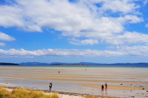 6-Day Tasmania Small-Group Guided Tour With Gourmet Food - Surfers Paradise Gold Coast 7