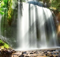 Mount Field Private Charter Service - Surfers Paradise Gold Coast