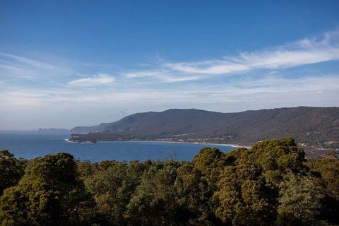 Discover Hobart: Port Arthur And Lavender Farm 1 Day Tour - Surfers Paradise Gold Coast 5