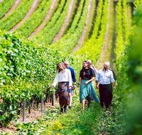 Hobart Highlights of Tasmanian Wine Full Day Tour - Surfers Paradise Gold Coast