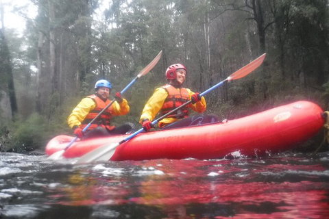 Twin Rivers Winter Adventure - Surfers Paradise Gold Coast 3