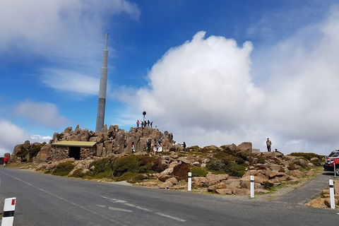 Mt. Wellington Morning Hike + Afternoon Beer & History Walk - Surfers Paradise Gold Coast 21