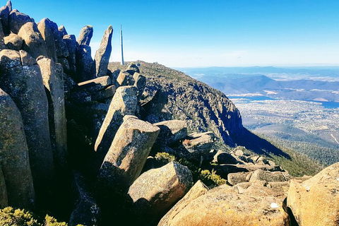 Mt. Wellington Morning Hike + Afternoon Beer & History Walk - Surfers Paradise Gold Coast 11