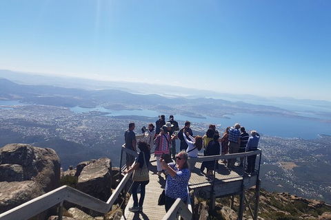 Mt. Wellington Morning Hike + Afternoon Beer & History Walk - Surfers Paradise Gold Coast 2