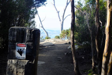 Mt. Wellington Morning Hike + Afternoon Beer & History Walk - Surfers Paradise Gold Coast 14