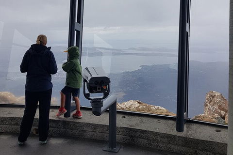 Mt. Wellington Morning Hike + Afternoon Beer & History Walk - Surfers Paradise Gold Coast 17