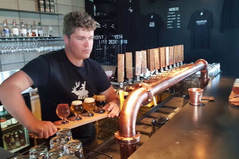 Mt. Wellington Morning Hike + Afternoon Beer & History Walk - Surfers Paradise Gold Coast 19