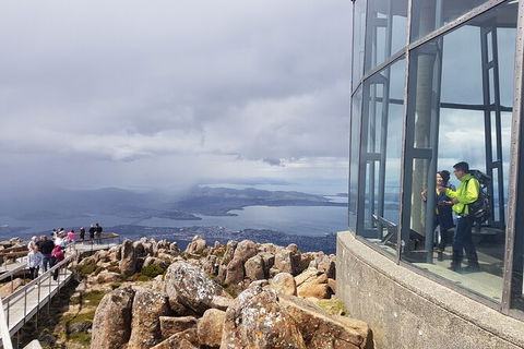 Mt. Wellington Morning Hike + Afternoon Beer & History Walk - Surfers Paradise Gold Coast 12