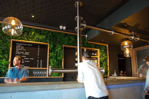 Mt. Wellington Morning Hike + Afternoon Beer & History Walk - Surfers Paradise Gold Coast 15