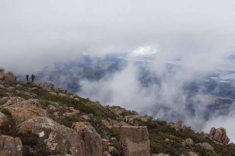 Mt. Wellington Morning Hike + Afternoon Beer & History Walk - Surfers Paradise Gold Coast 18