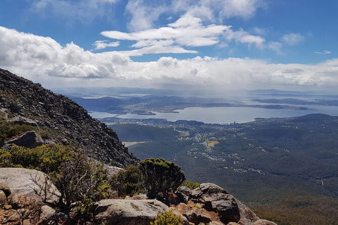 Mt. Wellington Morning Hike + Afternoon Beer & History Walk - Surfers Paradise Gold Coast 5