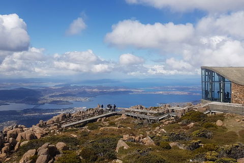 Mt. Wellington Morning Hike + Afternoon Beer & History Walk - Surfers Paradise Gold Coast 3