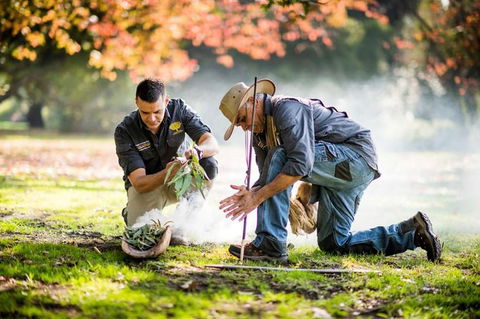 Aboriginal Heritage Walk - Royal Botanic Gardens Victoria, Melbourne Gardens - Surfers Paradise Gold Coast 0